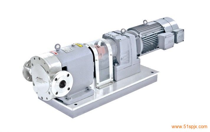 轉(zhuǎn)子泵(轉(zhuǎn)子泵的工作原理動畫)