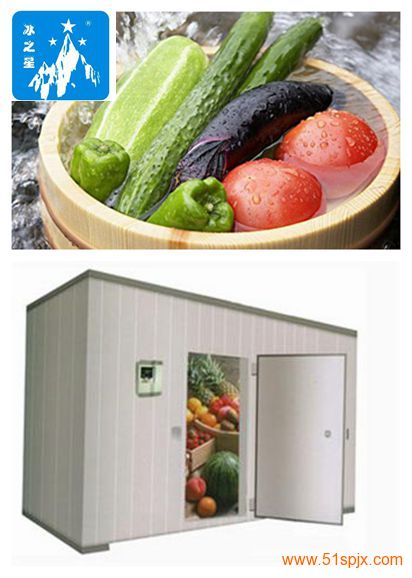 食品冷庫安裝(200平方冷庫造價表)