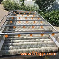 清洗流水線(蔬菜清洗包裝流水線設(shè)備視頻)