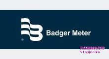 Badger MeterӋ y