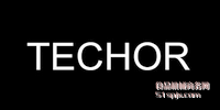 Techor ƷƽB