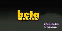 Beta Sensorik//늸ʽ