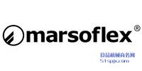 (gu)Marsoflexܛ