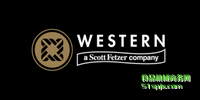 WESTERN ƷƽB