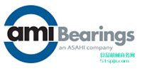 AMI Bearings ƷƽB