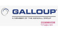 Galloup늴y/ܽ^