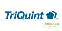 Triquint SemiconductorŴ/V/׃l