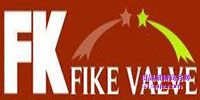 FIKE Valve ƷƽB