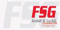 FSG GmbH ƷƽB