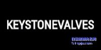 美國Keystone蝶閥/執行器/球閥/刀閘閥