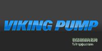 Viking Pump ƷƽB