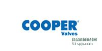 Cooper valvesֹy/ֹy/y