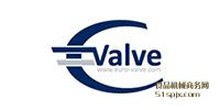 Euro-Valve^V