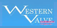 WESTERN VALVE ƷƽB